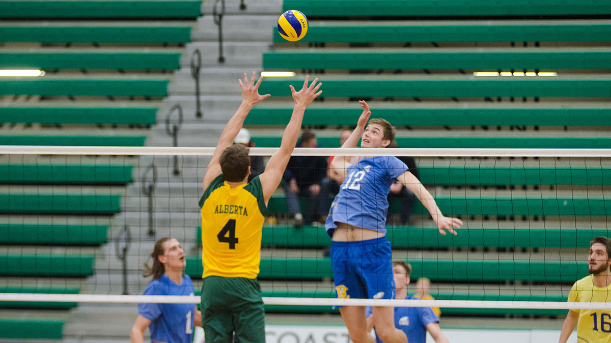 Sports-Mitch-Sorensen-Bears-Volleyball-2