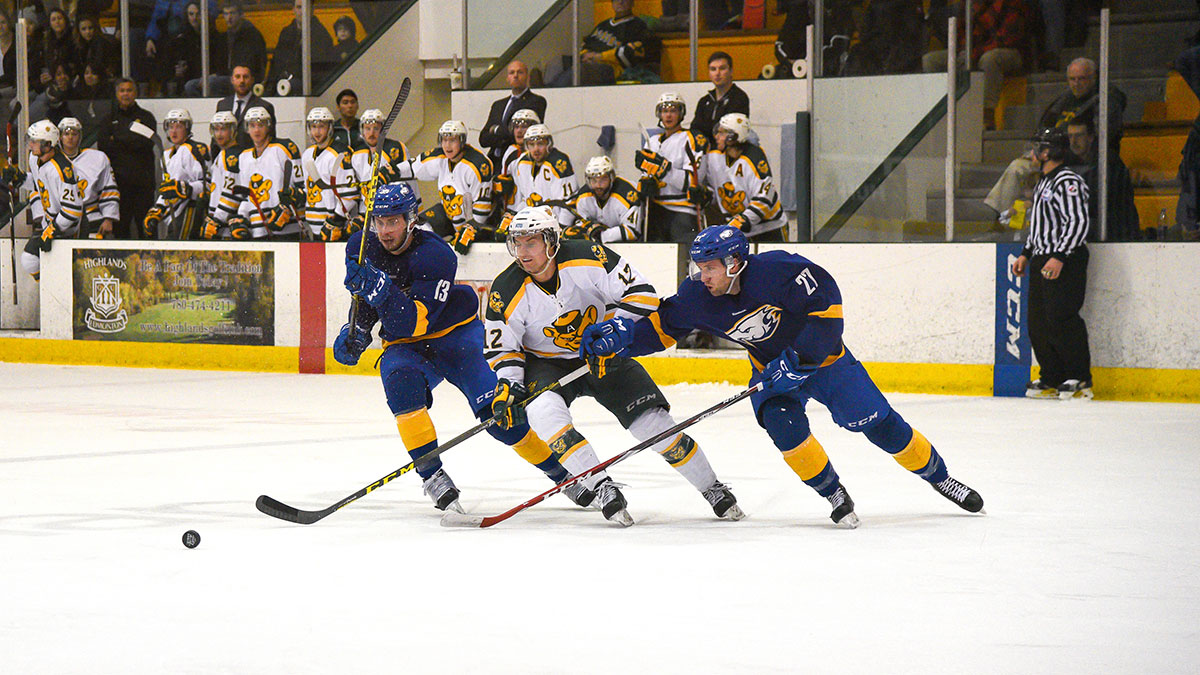 Sports-File-Photo-Ruilin-Fu-Bears-Hockey-Finals-Preview-
