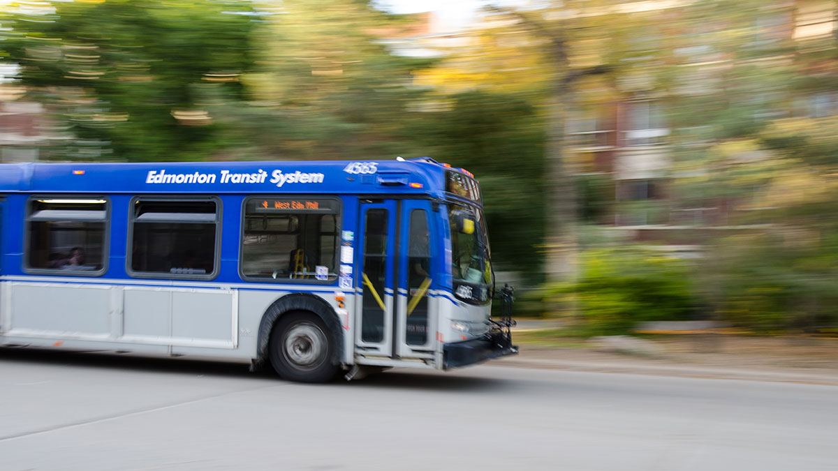 Пасс автобус. Edmonton Buses.