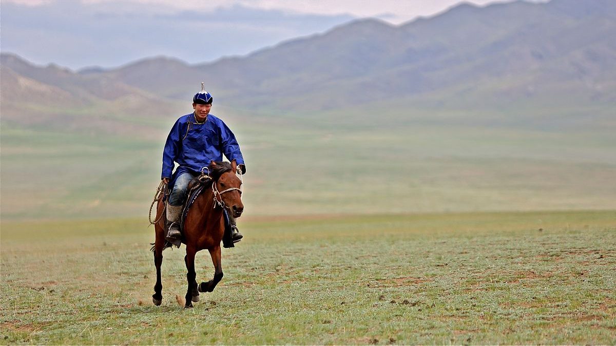 mongolia_horse