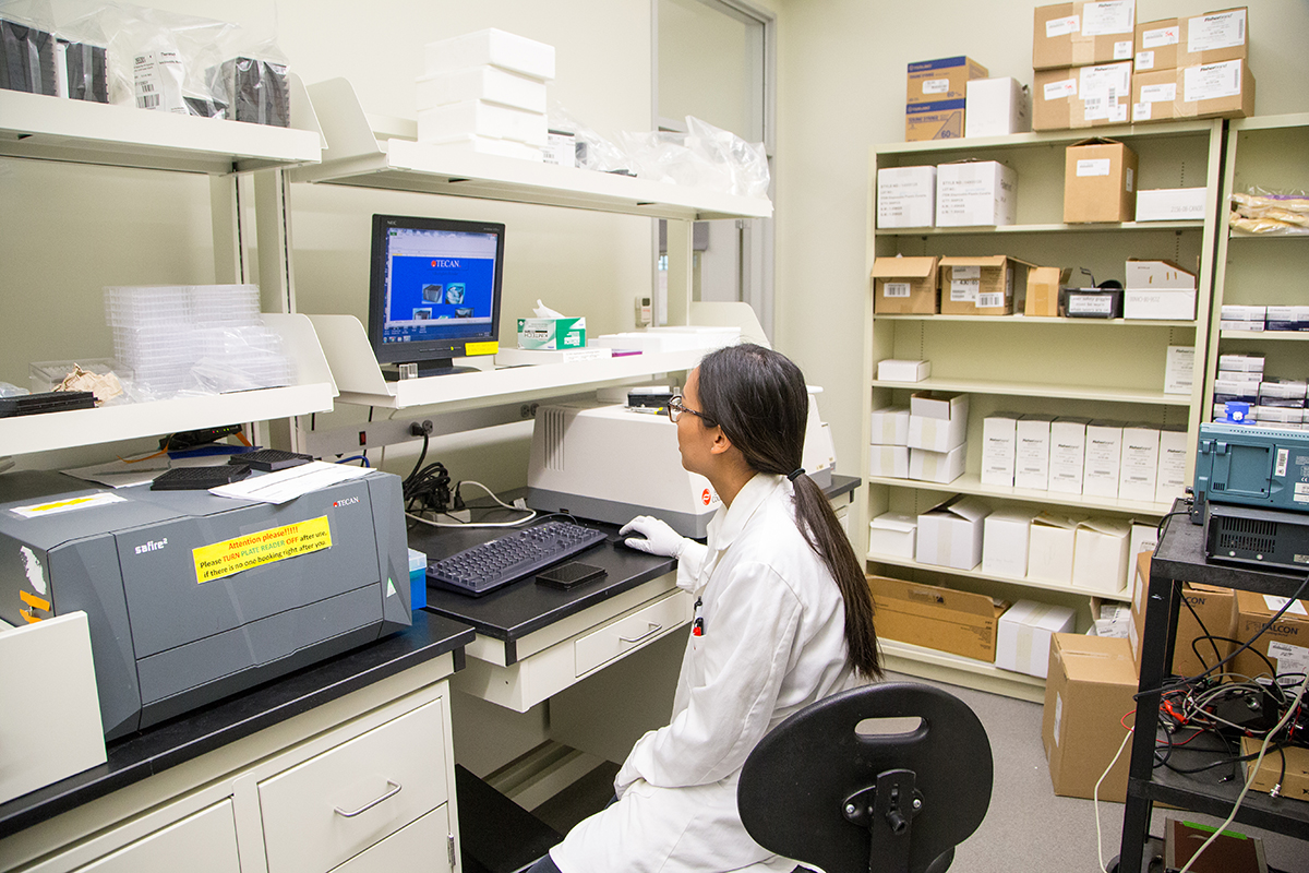 "This machine allows me to test the fluorescence intensity, emission spectrum. and excitation spectrum of the fluorescent protein I was trying to develop." 