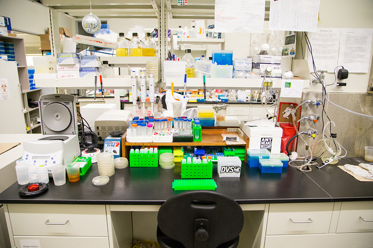 "This is the cleanest bench in the lab, I share this bench with a PhD student named Landon, he's a neat freak"