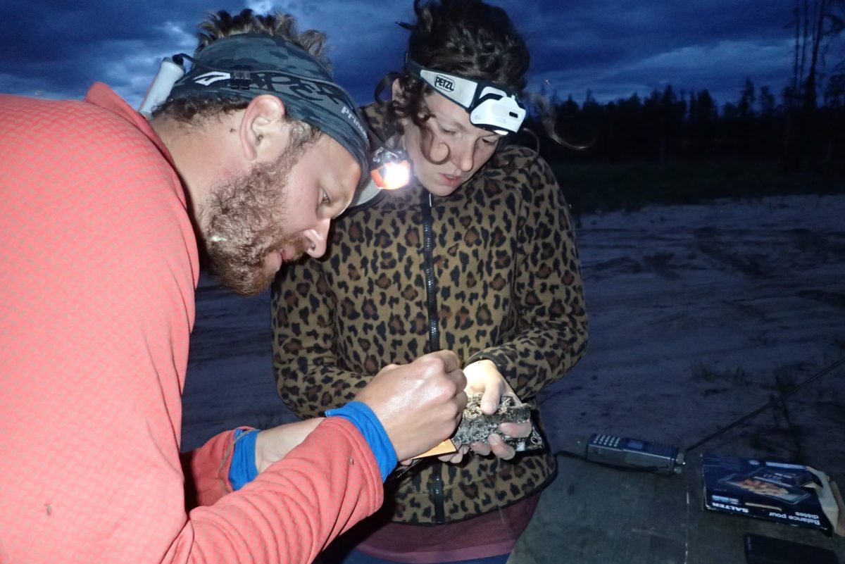 Knight and an associate tagging nighthawks