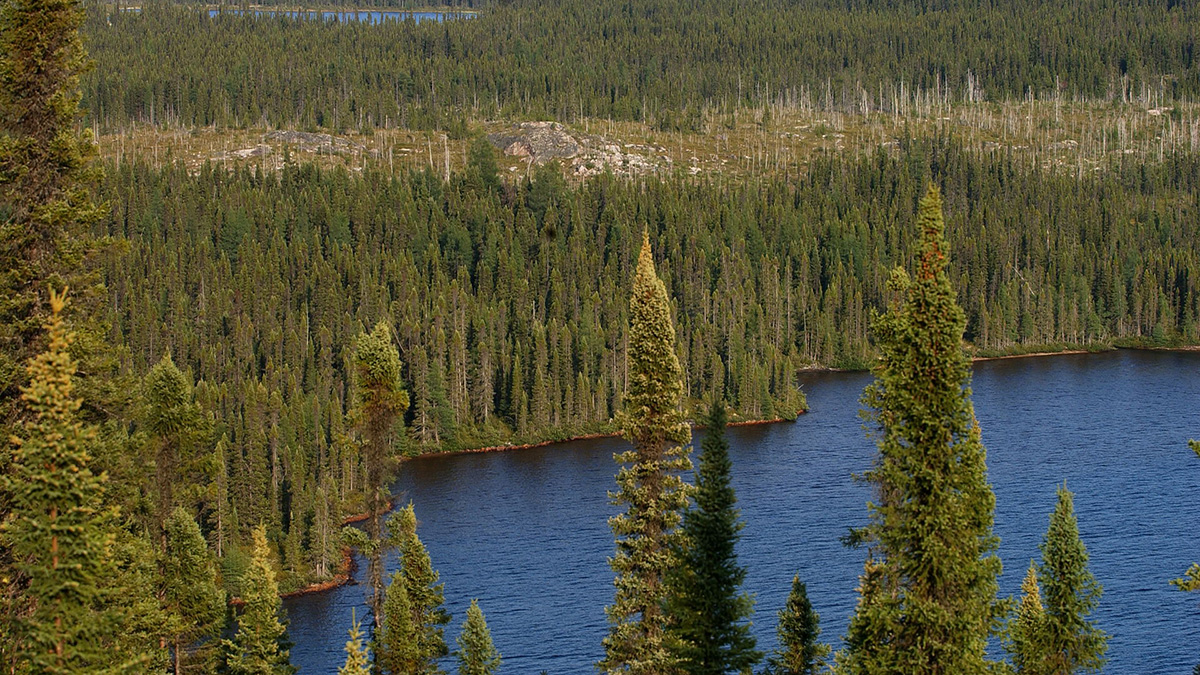 canadian shield climate