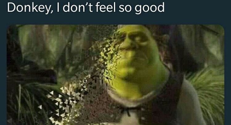 Top 10: Memes of 2018, Honorable #5: I don't feel so good The