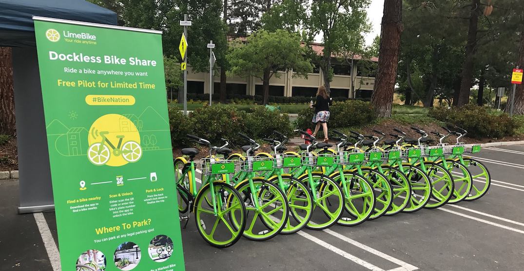 organised bike rides