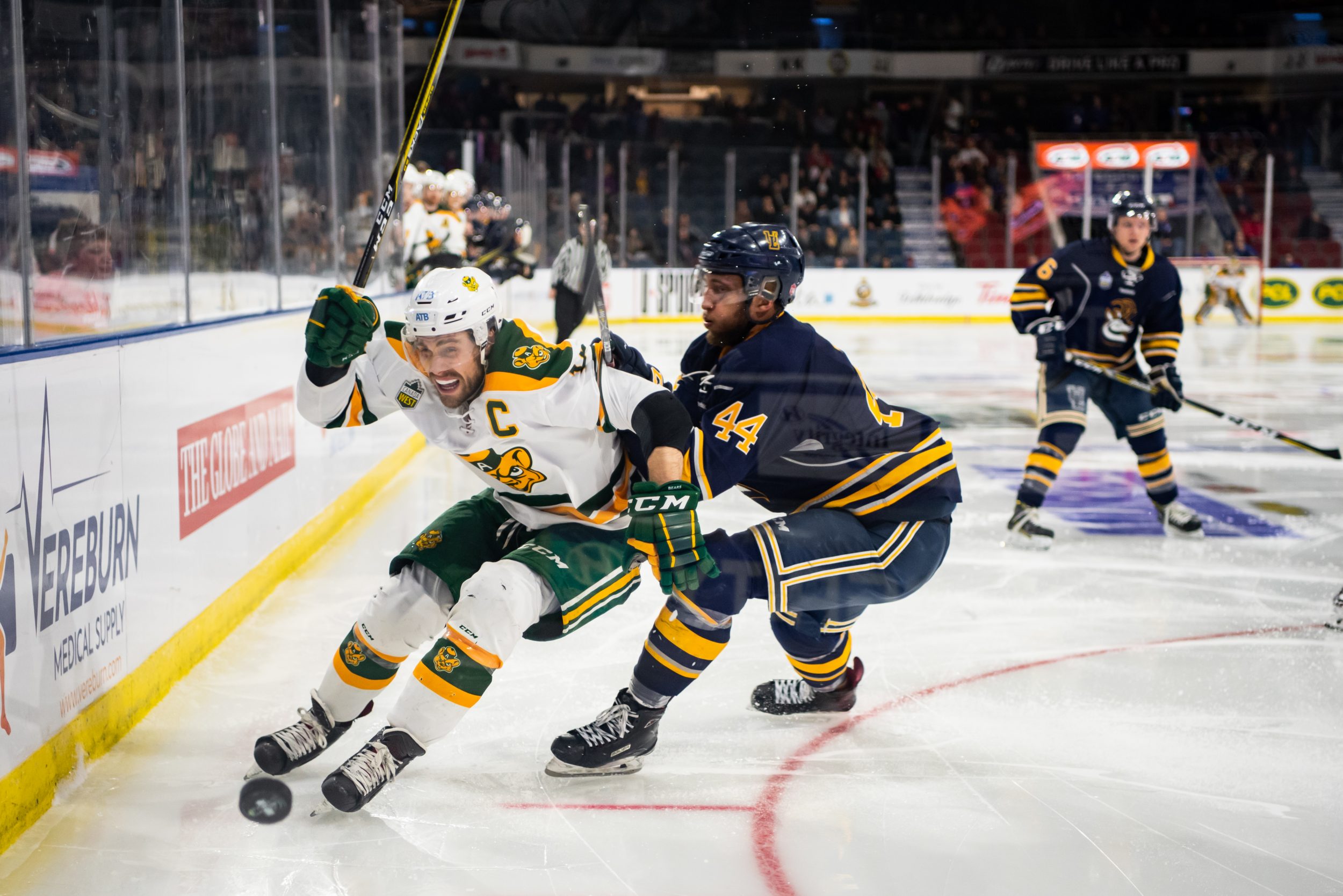 Photos The University of Alberta Golden Bears defeat the Lethbridge