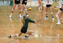 Photo of New Year weekend Golden Bears and Pandas Preview