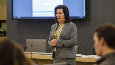 Kate Chisolm speaking at council