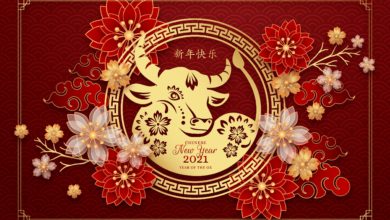 Feature image for Chinese New Year editorial