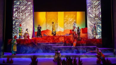 Photo of "The Birds" with various characters like Eagle, Raven, Hoopoe, and Gulliver on screen.