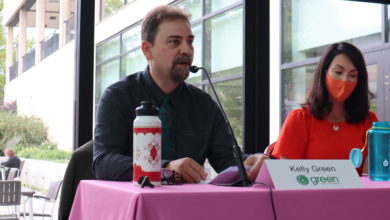 Kelly Green federal election candidate