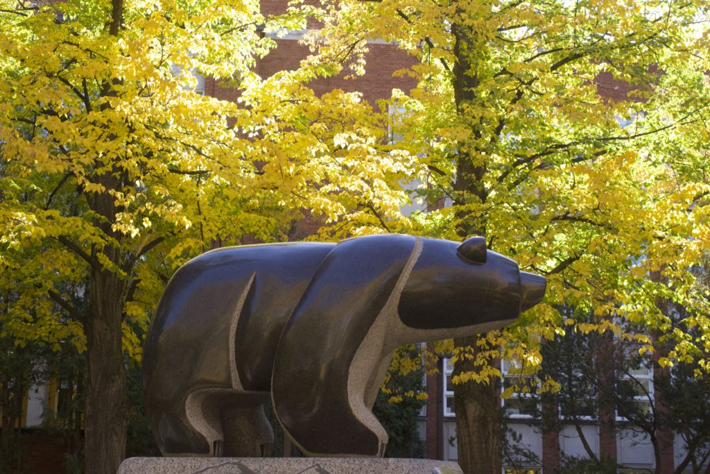 campus bear