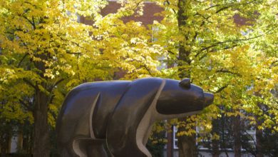 campus bear