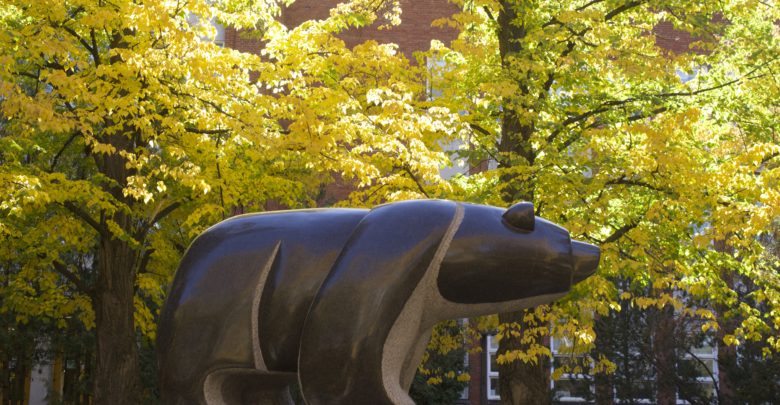 campus bear