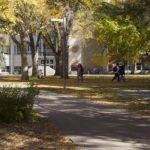 campus fall