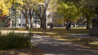 campus fall