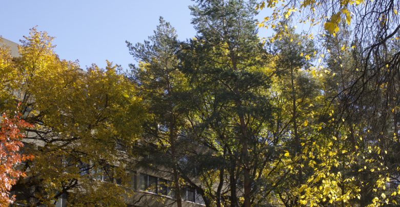 Buildings hub