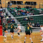 The Pandas play the University of Calgary Dinos in a volleyball game on November 27, 2021.
