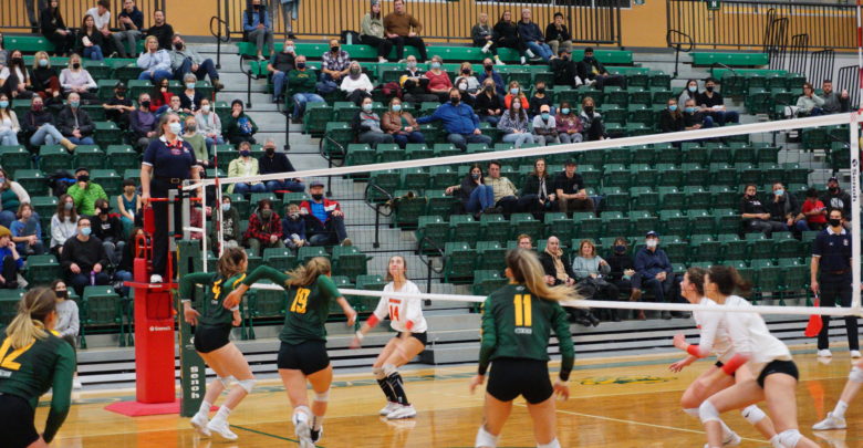 The Pandas play the University of Calgary Dinos in a volleyball game on November 27, 2021.