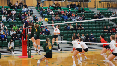 Pandas volleyball Nov 27 2021