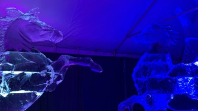 Two sculptures at Ice on Whyte