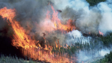 smoke Canadian Forest Service fort mcmurray wilfires