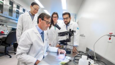 james shapiro diabetes