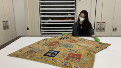 Lion, Lantern, Lotus robe