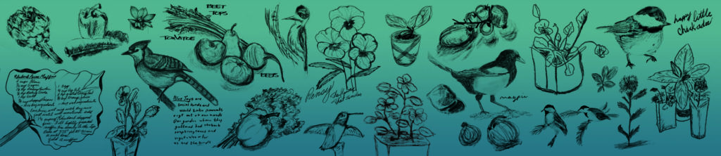 A teal banner with flowers, birds, and produce.