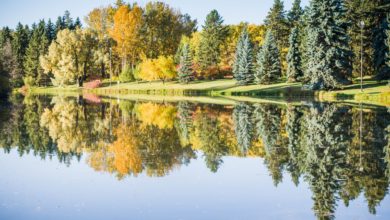Photo by: Lyle Richards, Hawrelak park with trees and pond