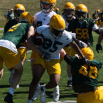 Golden Bears football first practice session
