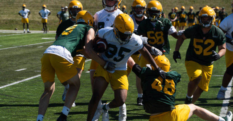 Golden Bears football first practice session