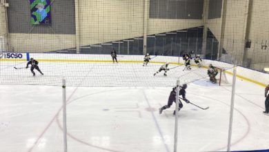 Bears Hockey