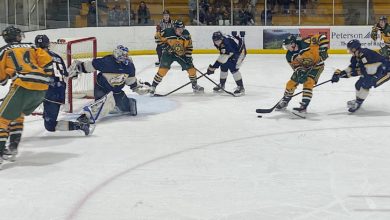 Bears v UBC, Nov 19, Amanda Sparks