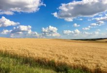 Wheat farm in rural Alberta, photo by five2seven