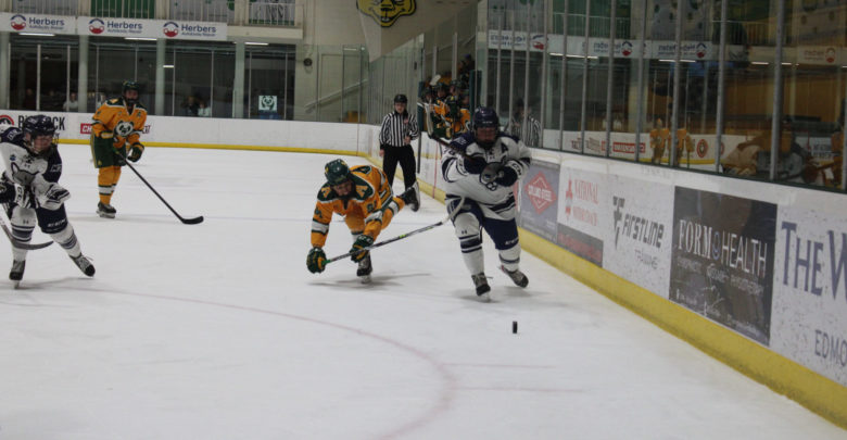 Photostory Pandas Hockey Go 1 2 In Playoffs Series Against Mount Royal University The Gateway 