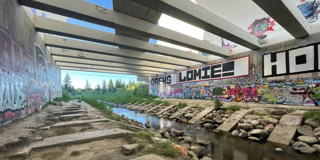 Whitemud Creek Wildlife Underpass Graffiti