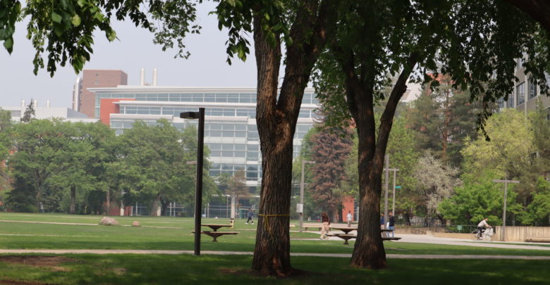 Main Quad North Campus in Spring