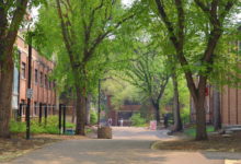 green and gold trail north campus spring summer path nature