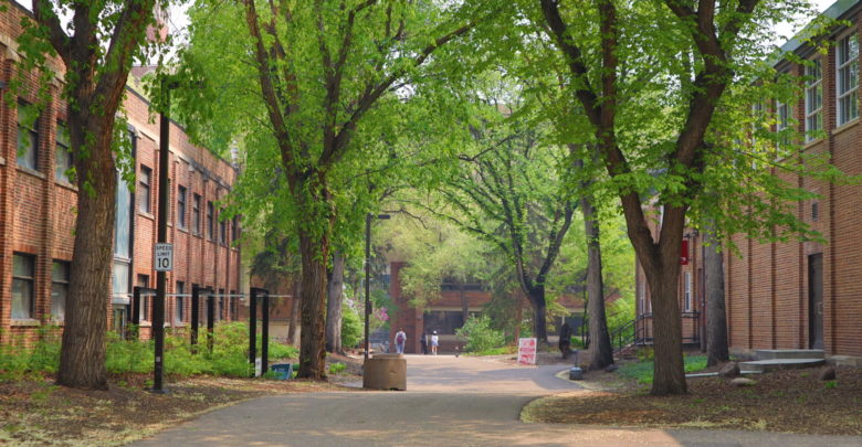 green and gold trail north campus spring summer path nature