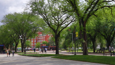 u of a north campus summer