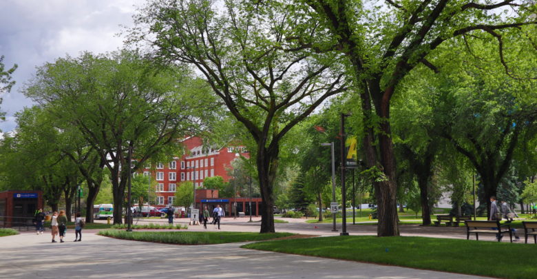 u of a north campus summer