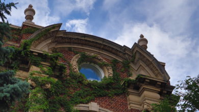 arts building buildings north campus U of A summer green ivy