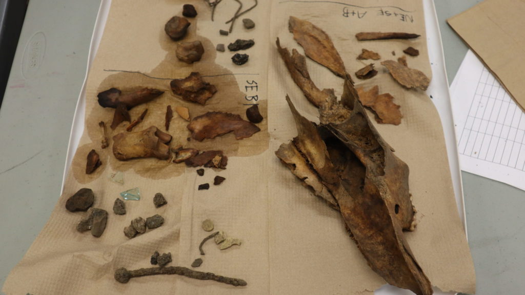 Objects that were found by U of A archaeological students in Field School.