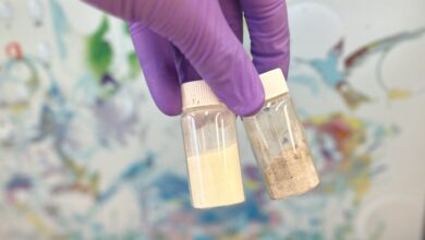 Muhammad Zubair chicken feathers into water filters