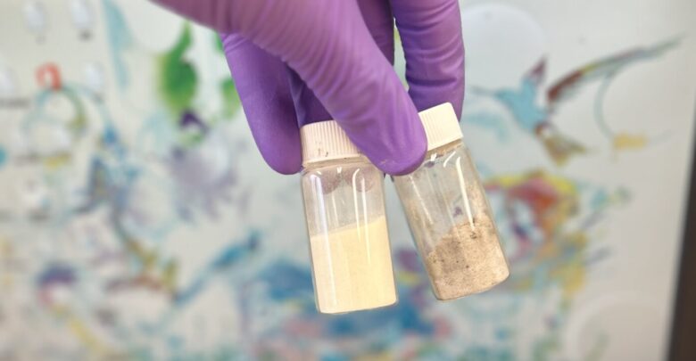 Muhammad Zubair chicken feathers into water filters