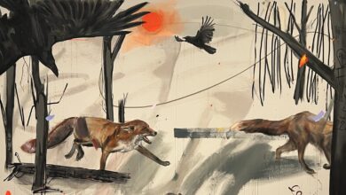 kindling ally mcintyre