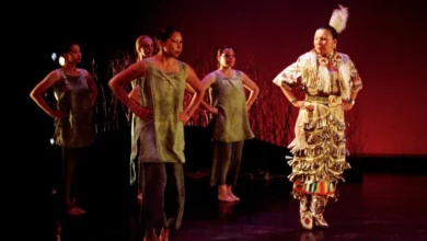 Karen Pheasant-Neganigwane powwow