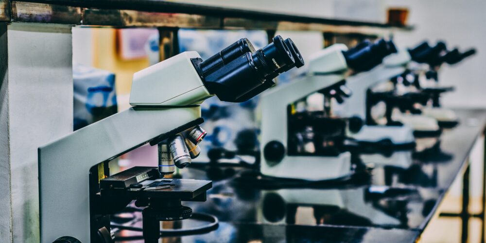 geochemists researching life on early earth